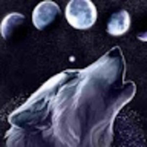 Meet your Posher, Lexis